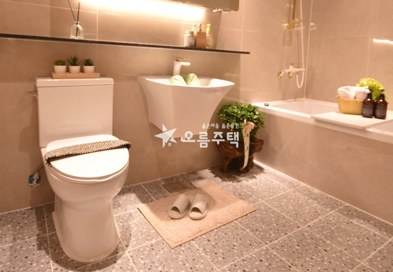 경기 고양덕양구 삼송동 삼송동 3룸 실력있는 법무사가 풀어드려요 분양 매물번호 17872 사진 5