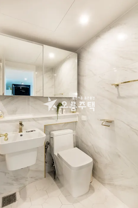 경기 화성만세구 향남읍 향남읍 3룸 최저 입주금 문의!!상담! 분양 매물번호 19179 사진 5