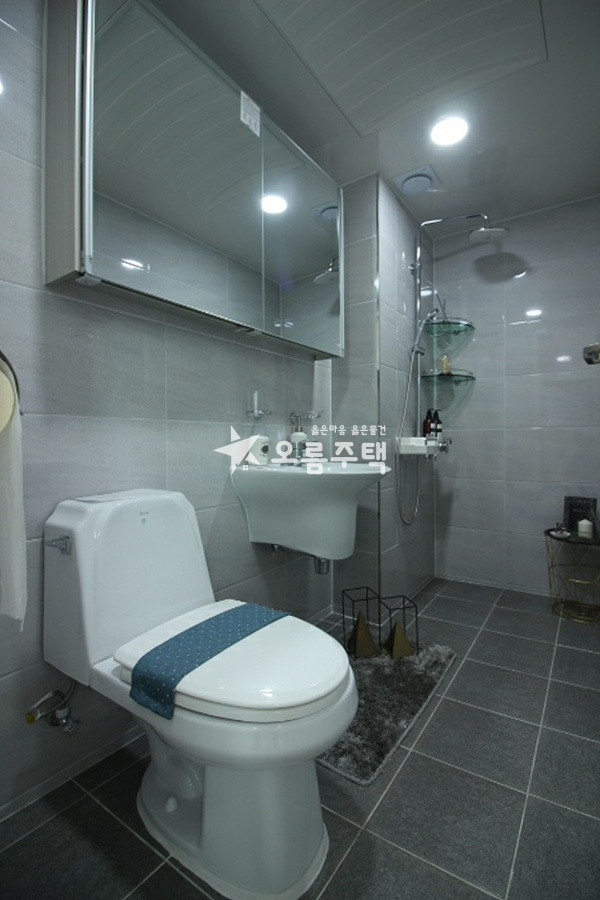 경기 평택시 비전동 비전동 동일평수/주변시세대비 최저분양 분양 매물번호 18996 사진 5