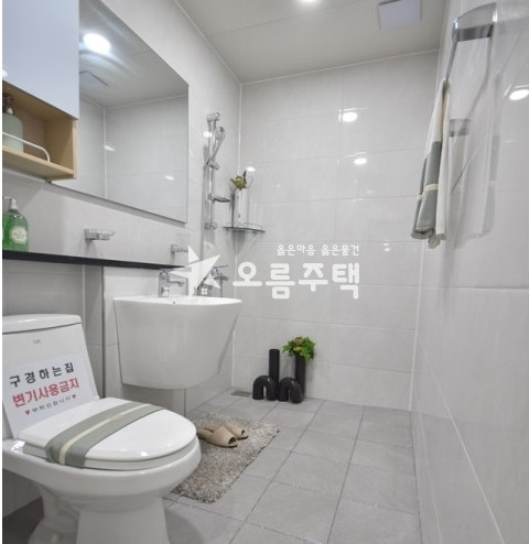 서울 양천구 신정동 신정동 2룸 역세권 출퇴근 편의 위치최상 분양 매물번호 12007 사진 5
