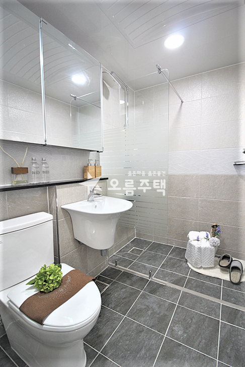 경기 평택시 비전동 비전동가성비좋은 넓은 쓰리룸 분양 매물번호 19020 사진 5