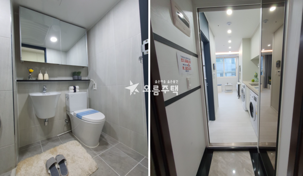 서울 금천구 시흥동 시흥사거리역 신안산선(예정) 초역세권 원룸. 1.5룸 분양 매물번호 10664 사진 5